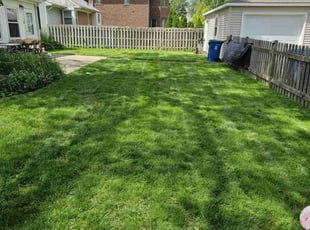 Cason H.'s grass maintenance service result