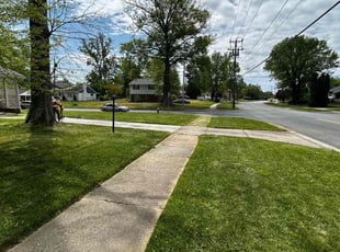 Rommie A.'s lawn care services service result