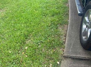 Jesus R.'s lawn care services service result