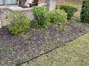 Nicole D.'s Bush Trimming service result