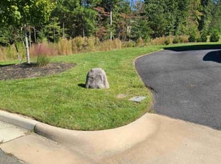 Cynthia E.'s lawn care services service result
