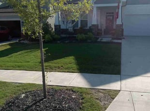 Max R.'s lawn maintenance service result