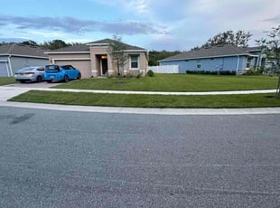 Raul Z.'s lawn service service result
