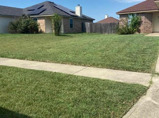 Audrey B.'s turf care service result