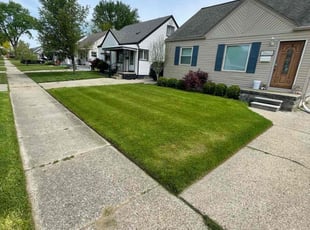 Claudia G.'s grass cutting service result