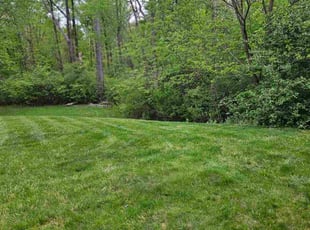 Malinda M.'s grass cutting service result