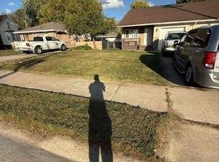 Kiwanda M.'s lawn care service result