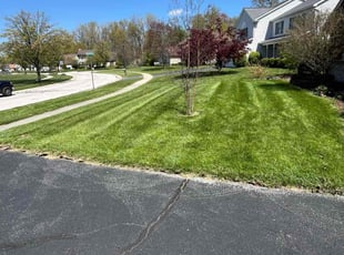 Michael B.'s lawn service service result
