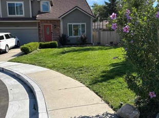 Shaun M.'s lawn care service result