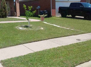 Sarah J.'s turf maintenance service result