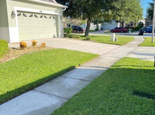 Ralna M.'s lawn care services service result