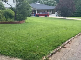 Christopher S.'s turf care service result