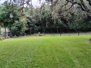 Lee P.'s landscaping services service result