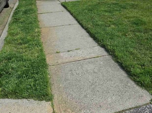 Brenda E.'s lawn care services service result