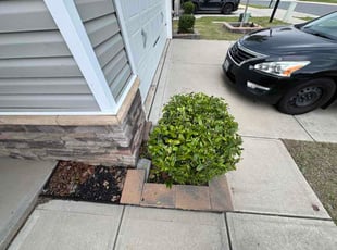 Shanti V.'s Bush Trimming service result