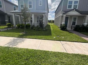 Deanna L.'s lawn care services service result