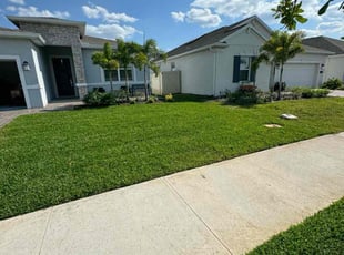 Amy P.'s lawn care service result