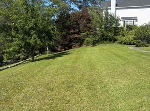 It8 C.'s lawn care services service result