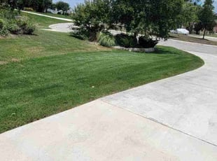 Brenda H.'s lawn care services service result