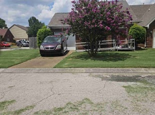 Nigel S.'s lawn service service result