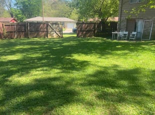 Michelle B.'s grass maintenance service result
