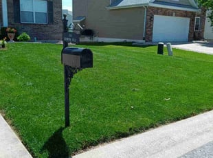 Leslie S.'s lawn care service result