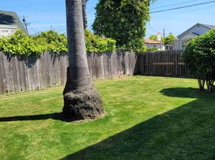 Marq C.'s landscape maintenance service result
