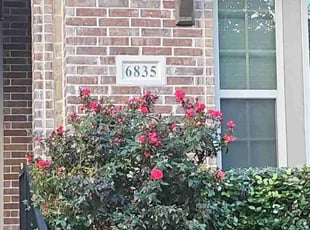 Kimberly B.'s Bush Trimming service result
