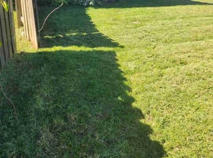 Ellen W.'s Lawn Mowing service result