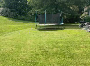 Paul G.'s lawn service service result