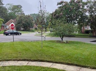 Fadelia L.'s grass cutting service result