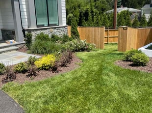 Annette C.'s grass cutting service result