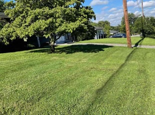 Sterling K.'s lawn service service result