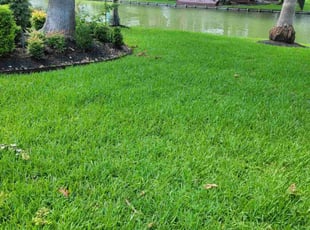 Kristin M.'s yard service service result