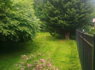 Sieanna S.'s grass maintenance service result