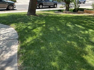 Glenn M.'s turf maintenance service result