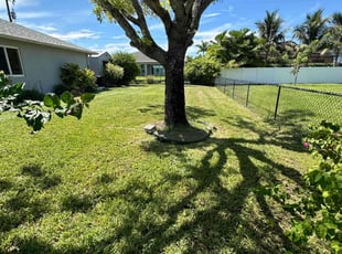 Dowayne R.'s turf care service result