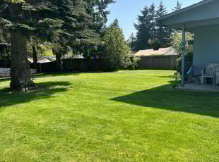 Sharon T.'s lawn service service result