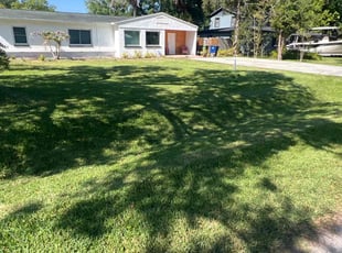 Katina W.'s turf maintenance service result