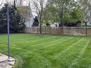 Olivia L.'s grass cutting service result