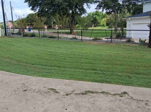 Yolanda R.'s lawn service service result