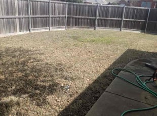 Bryan W.'s Leaf Removal service result