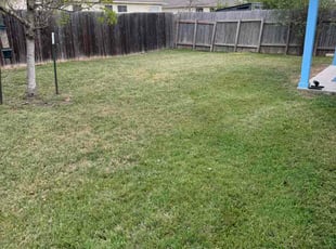 Mike W.'s turf maintenance service result
