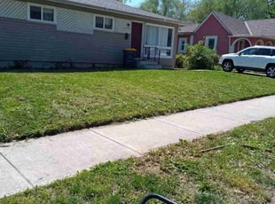 Colin W.'s turf maintenance service result