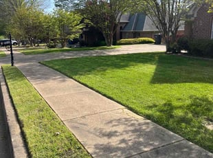 Austin M.'s lawn care services service result