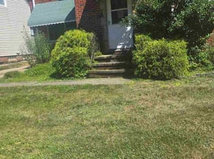 Matt E.'s Bush Trimming service result