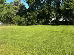 Munir S.'s grass maintenance service result