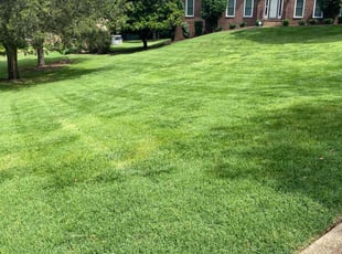 Rita A.'s lawn care services service result