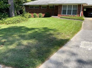 Sherrice K.'s turf care service result