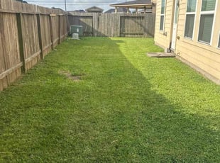 Sam P.'s turf care service result